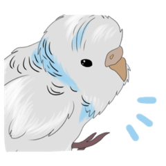 [LINEスタンプ] 白いセキセイインコ