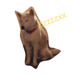 [LINEスタンプ] アナンスタンプ