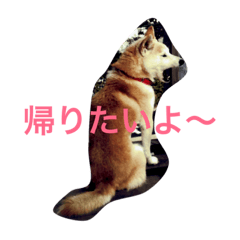 [LINEスタンプ] アナンスタンプ2