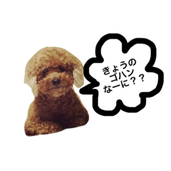 [LINEスタンプ] ちょこっと犬。