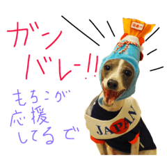 [LINEスタンプ] イタグレ 白玉もちこ