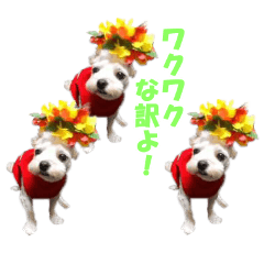 [LINEスタンプ] ごん太のきもち