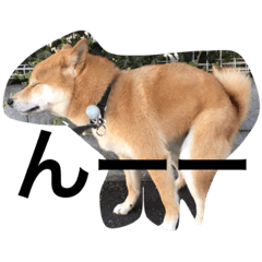 [LINEスタンプ] 柴犬二郎の画像（メイン）