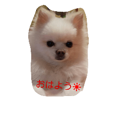 [LINEスタンプ] モコラブ
