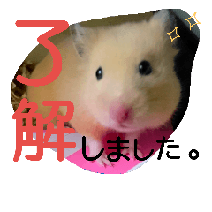 [LINEスタンプ] キンクマハムスターのkimochiすたんぷ3