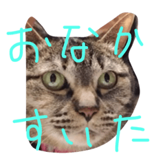 [LINEスタンプ] じゅーーーん