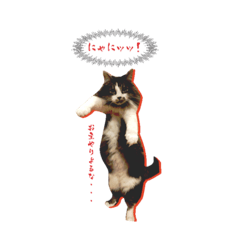 [LINEスタンプ] わたしの猫ダンテのスタンプ