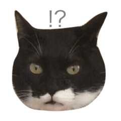 [LINEスタンプ] きろくのスタンプ