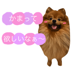 [LINEスタンプ] もふもふモカ