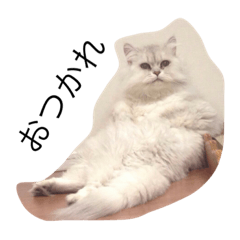 [LINEスタンプ] 猫野家