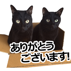 [LINEスタンプ] 黒猫のメグロモグロ