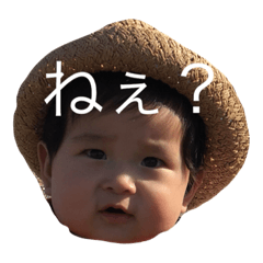 [LINEスタンプ] りゅうちゃろスタンプ