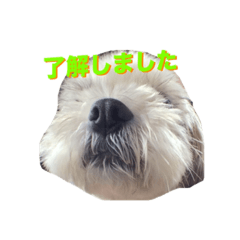 [LINEスタンプ] ぱんな1