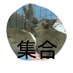 [LINEスタンプ] 仲間の会話