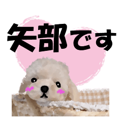 [LINEスタンプ] 矢部さん用の名前スタンプ・子犬イラストの画像（メイン）