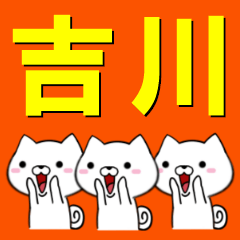 [LINEスタンプ] 超★吉川(よしかわ・きっかわ)なイヌの画像（メイン）