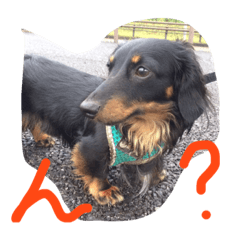 [LINEスタンプ] たっくんスタンプ3