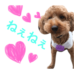 [LINEスタンプ] 使える！といぷースタンプ。