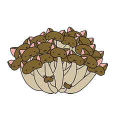 [LINEスタンプ] ねこキノコスタンプ