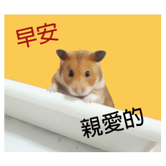 [LINEスタンプ] only bear-2