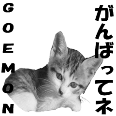 [LINEスタンプ] Lovely cat Goemon 3rd with friends.