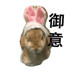 [LINEスタンプ] 朔ちゃんときどき小町。