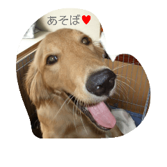 [LINEスタンプ] ディオくん