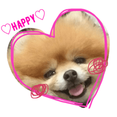 [LINEスタンプ] マロにメロメロ