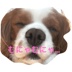 [LINEスタンプ] リーフとまめた