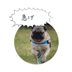[LINEスタンプ] ぺげおれおのあいさつ