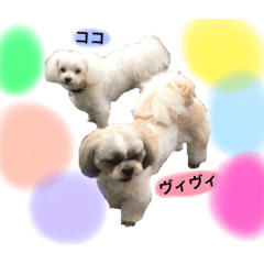 [LINEスタンプ] ココ＆ヴィヴィ