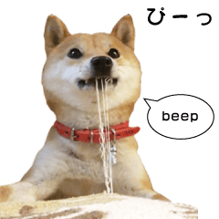 [LINEスタンプ] 柴犬のオノマトペ（擬音）スタンプの画像（メイン）