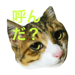 [LINEスタンプ] エステや飲み会のお誘い