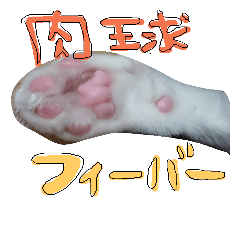 [LINEスタンプ] 猫とかぶりもん