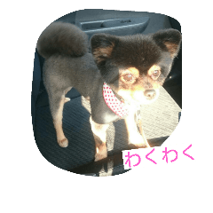 [LINEスタンプ] オールスター