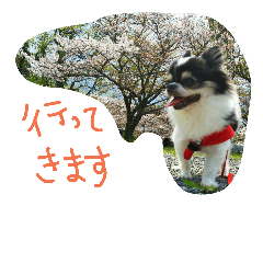 [LINEスタンプ] 山さん家の天使たち
