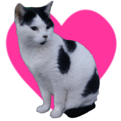 [LINEスタンプ] 牛柄の猫のうし