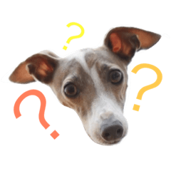 [LINEスタンプ] イタグレらいくん