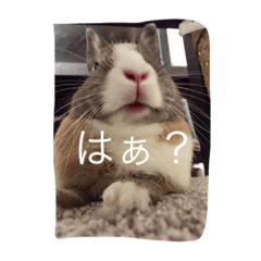 [LINEスタンプ] 毒舌だいさま