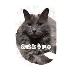 [LINEスタンプ] かわいいピーちゃん