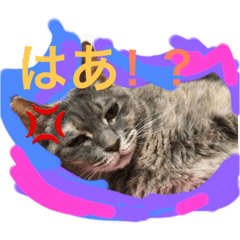 [LINEスタンプ] グレは猫2