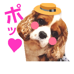 [LINEスタンプ] キャバリア姫♡hana