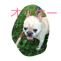 [LINEスタンプ] たっくんNo.2