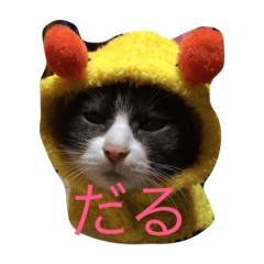 [LINEスタンプ] 口の悪いねこ