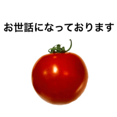 [LINEスタンプ] 敬語♪秘書トマトの画像（メイン）