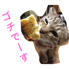 [LINEスタンプ] ボマキオ団2 （飼い主現る）
