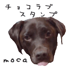 [LINEスタンプ] チョコラブmoca