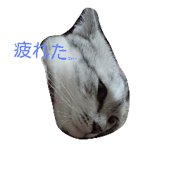 [LINEスタンプ] ニャスタンプ