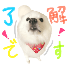[LINEスタンプ] みんな大好きスピッツのぱーちゃん