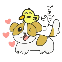 [LINEスタンプ] ごきげんピーコ